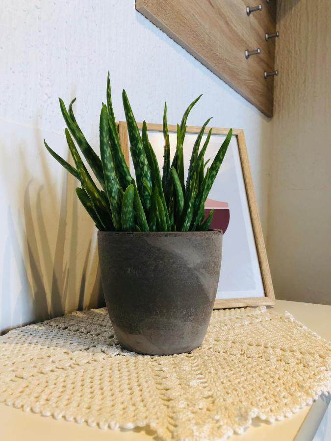 Apartma Domenika Ptuj Bagian luar foto